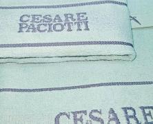 Комплект из 2 полотенец Cesare Paciotti Celebration Verde 40x60 и 60x110 - фото 3