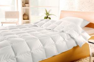 Одеяло с утиным пухом Brinkhaus Blanche 155x200 легкое - основновное изображение