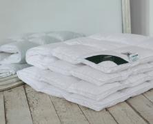 Одеяло пуховое Anna Flaum Perle 220х240 с бортом, теплое в интернет-магазине Posteleon