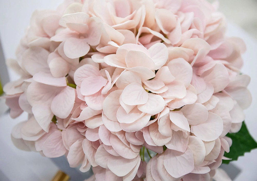 Ароматизированный букет Cote Noire Hydrangeas Pink Blush