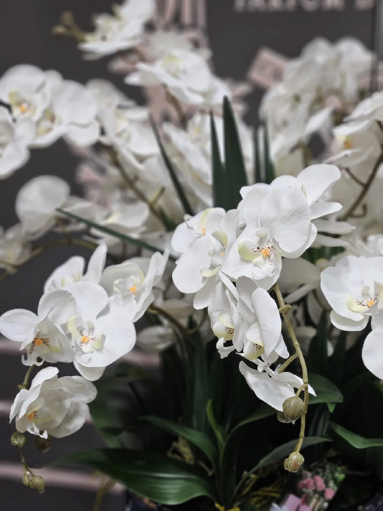 Ароматизированный букет Cote Noire Luxury Giant Orchid White