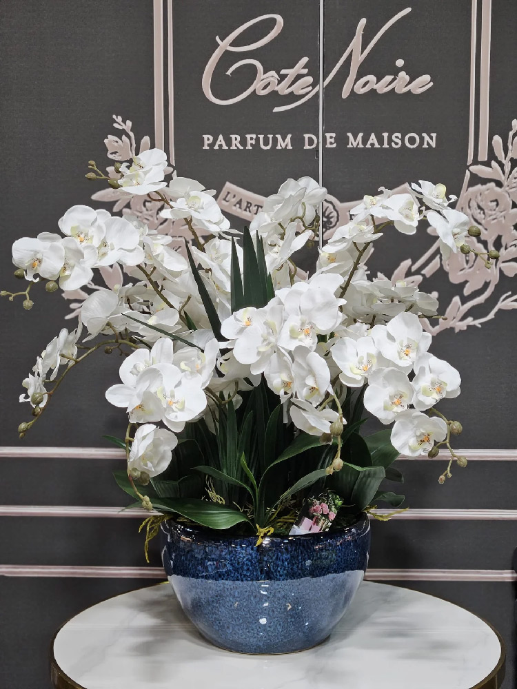 Ароматизированный букет Cote Noire Luxury Giant Orchid White