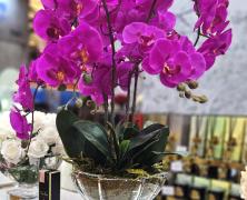 Ароматизированный букет Cote Noire Centerpiece Tall Orchids Purple - фото 1